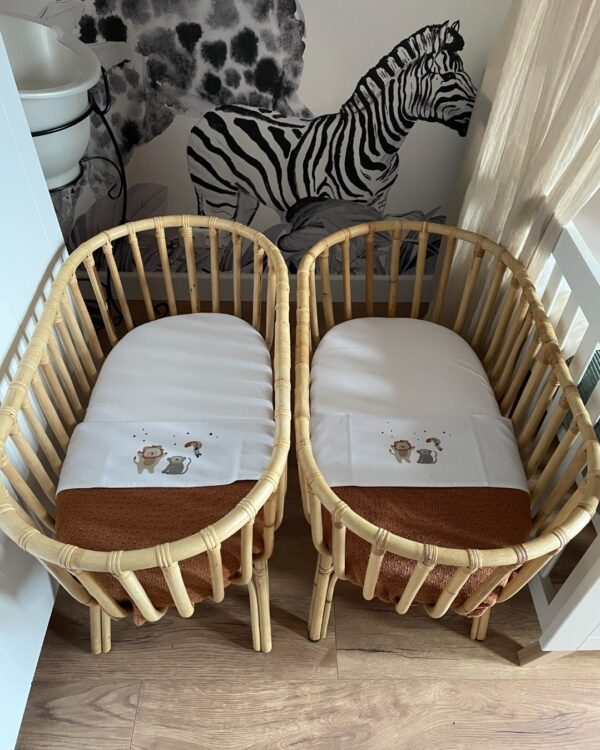 Rotan tweeling Tweeling Rotan wiegjes