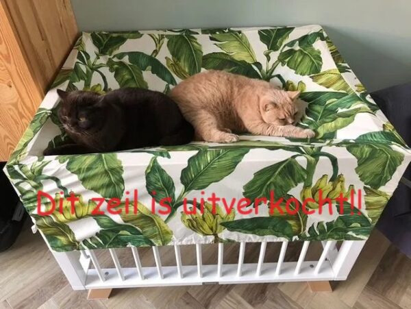 2-katten-op-zeil-boxhoes Boxhoes