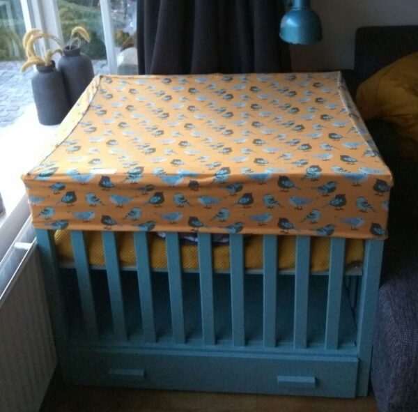 Boxhoes-geel-oker Boxhoes