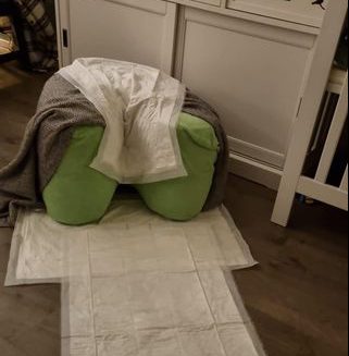 CUB-klaar-voor-bevalling.-e1646643016668 Hoes voor CUB. Koop