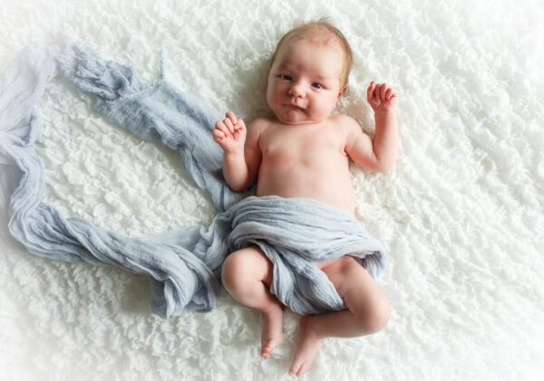 Chicco Next 2 Me Dream Legend huren + matras