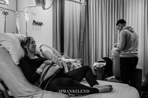 Cub-merel-2 Cub huren voor 6 weken €58,-