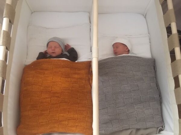 Tweelingwieg Hussh cradles huren met standaard.