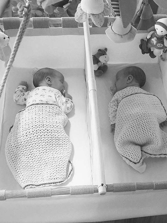 Tweelingwieg Hussh cradles huren met standaard.