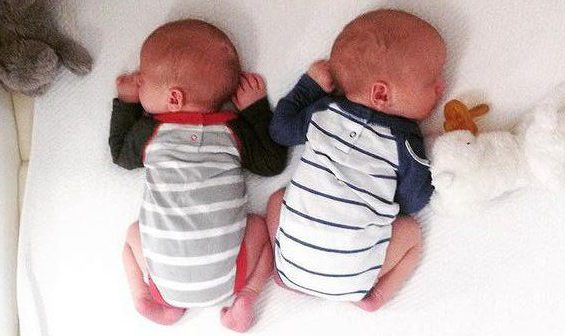 Tweelingwieg Hussh cradles huren met standaard.