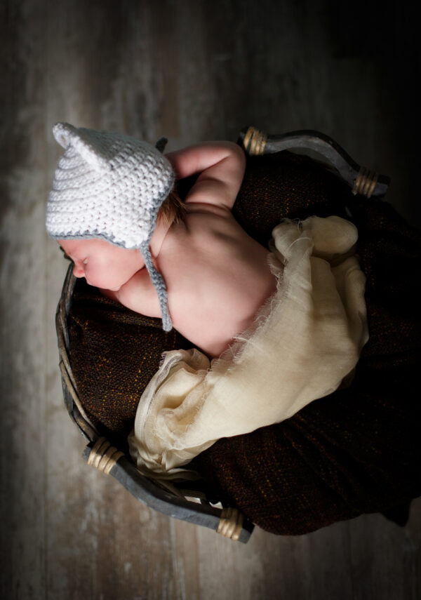 New-Born-Sterre-0037 Cub huren voor 6 weken €58,-