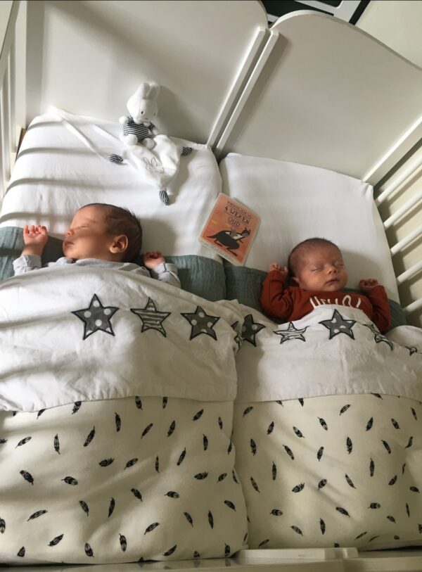 Screenshot_20200702-163339_Gallery Tweelingwieg huren met uitneembaar tussenschot. KOOP