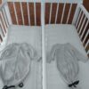 Tweeling-co-sleeper-wieg-huren-4- Co sleeper tweeling