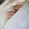 Tweelingwieg Hussh cradles huren met standaard.