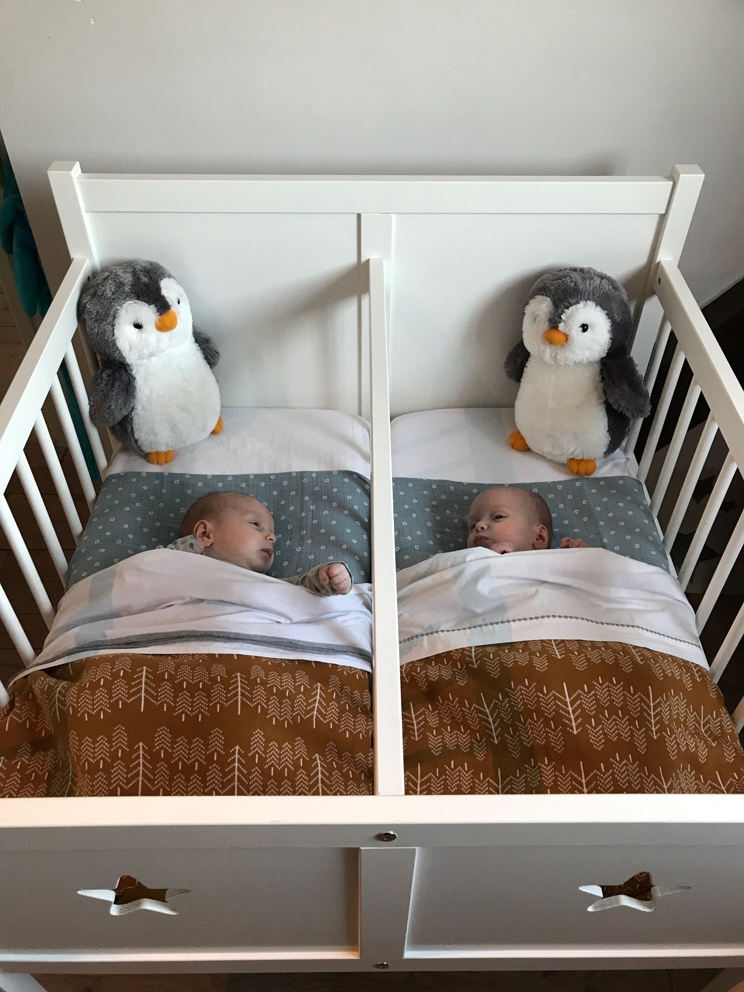 Tweelingwieg-Julia-2 Tweeling Chicco Next 2 Me co sleeper huren + nieuwe matrasjes