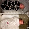 Tweelingwieg-huren-babys Tweelingwieg huren met uitneembaar tussenschot. KOOP