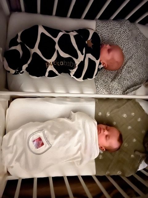 Tweelingwieg-huren-babys Tweelingwieg huren met uitneembaar tussenschot. KOOP