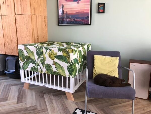 boxhoes-met-bananenblad Boxhoes