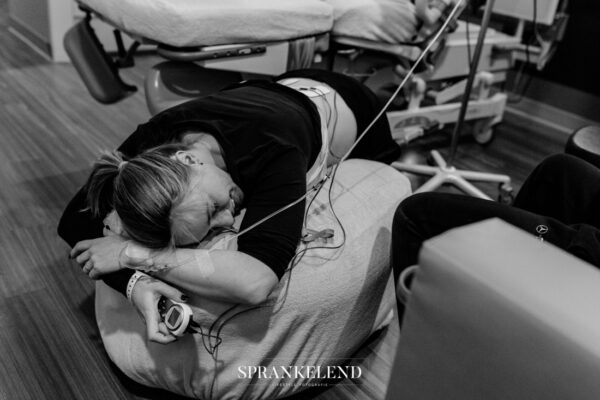 cub-merel-5 Cub huren voor 6 weken €58,-