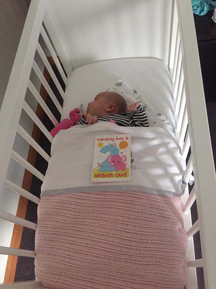 Bopita wieg huren bij wieg huren